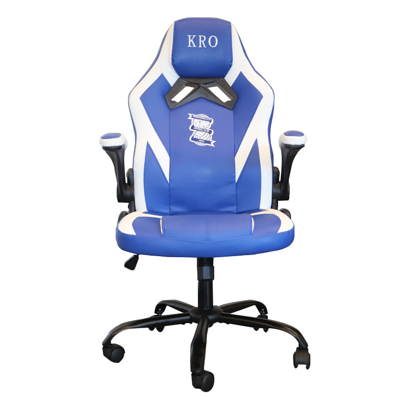 E-sports chair, home-use, height-adjustable, reclining, computer chair, ergonomic chair